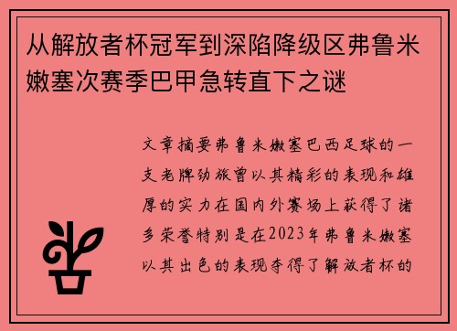 从解放者杯冠军到深陷降级区弗鲁米嫩塞次赛季巴甲急转直下之谜